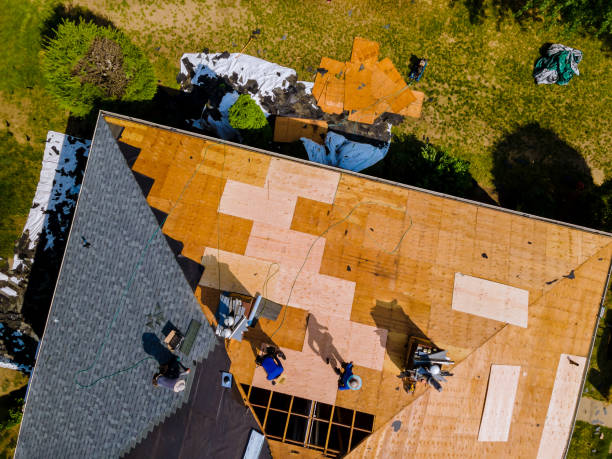 Best Commercial Roofing Services  in Eulyptus Hills, CA