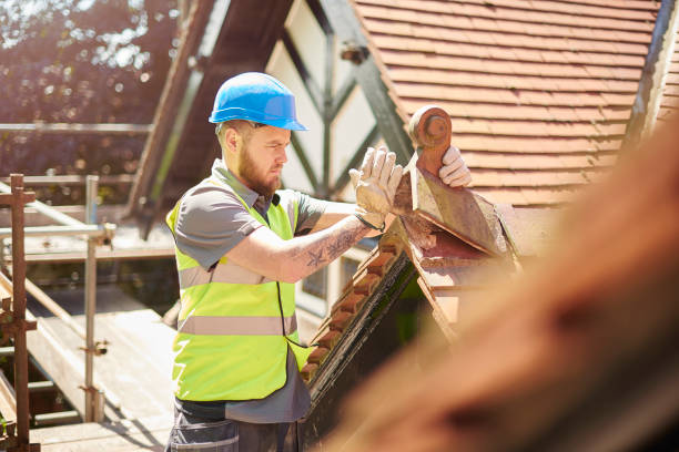 Professional Roofing Contractor in Eucalyptus Hills, CA