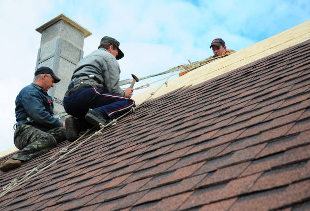 Professional Roofing Contractor in Eucalyptus Hills, CA
